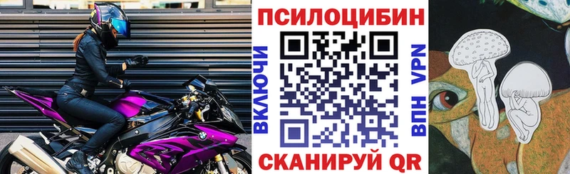 Псилоцибиновые грибы GOLDEN TEACHER Усолье